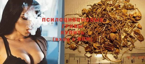 2c-b Заводоуковск