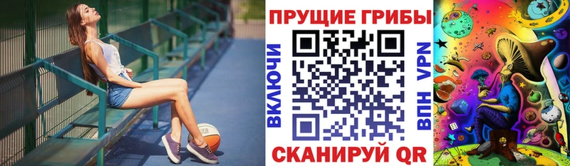 гидра рабочий сайт  Кадников  Галлюциногенные грибы GOLDEN TEACHER  как найти  